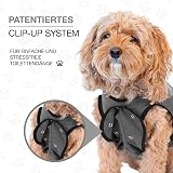 BellyGuard Recovery Suit for Dogs Post Op Spay Neuter Onesie view 6