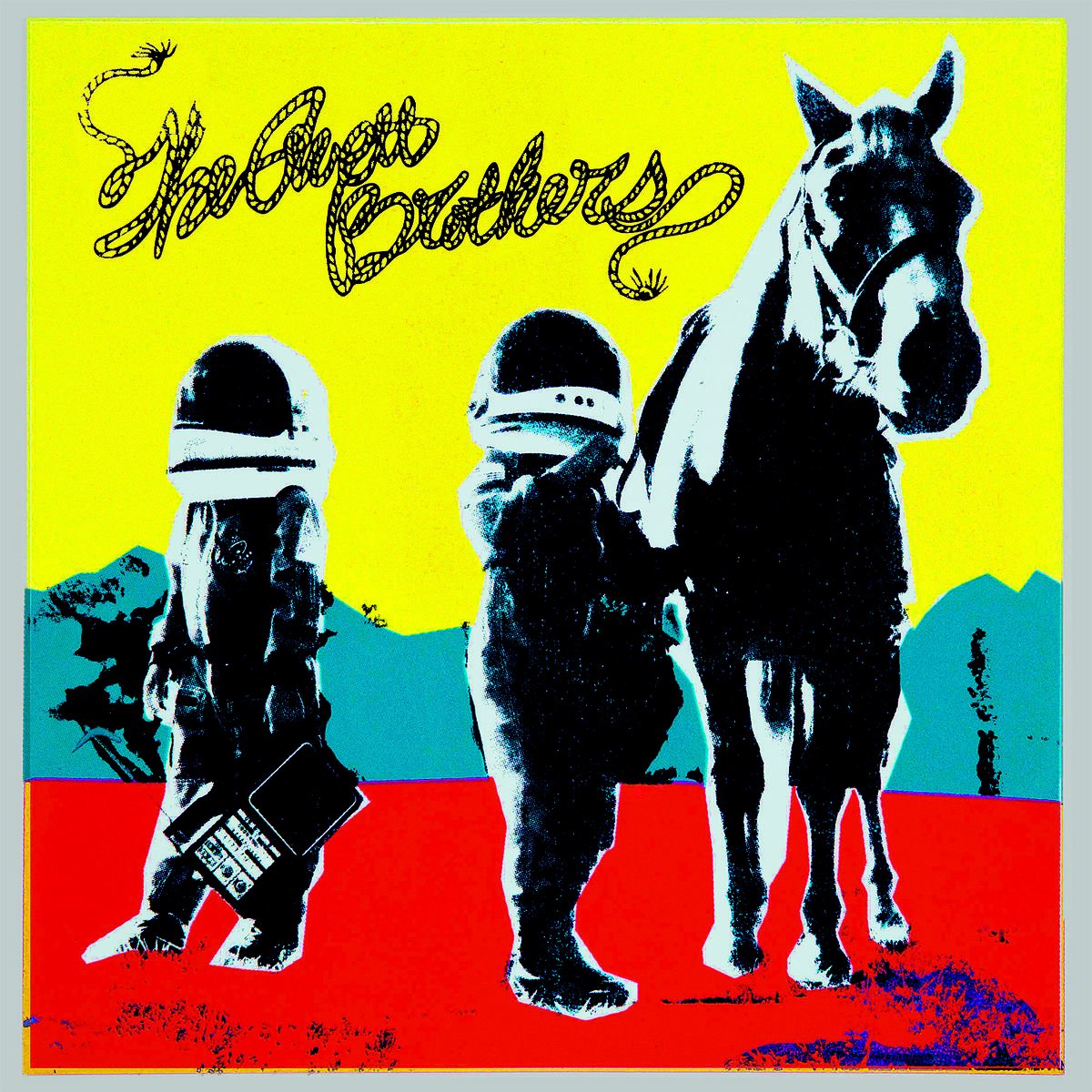 Album Art for True Sadness by The Avett Brothers