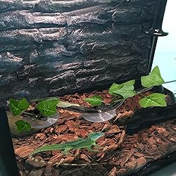 PINVNBY 2 PCS Reptile Corner Branch Terrarium Plant