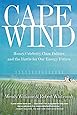 Cape Wind: Money, Celebrity, Energy, Class, Politics, and the Battle for Our Energy Future