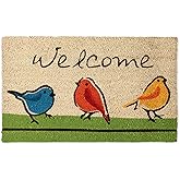 DII Natural Coir Doormat Outdoor Welcome Mat, 17x29, for The Birds