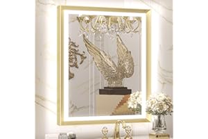 TETOTE Gold LED Bathroom Mirror with Lights 28x36 Frontlit & Backlit Vanity Framed Mirror Baroque Anti Fog Stepless Dimmable White/Warm/Natural,CRI90+,Waterproof,Wall Mounted(Horizontal/Vertical)