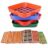 ESSENTIAL Coin Sorters Tray, 4 Color-Coded Coin
