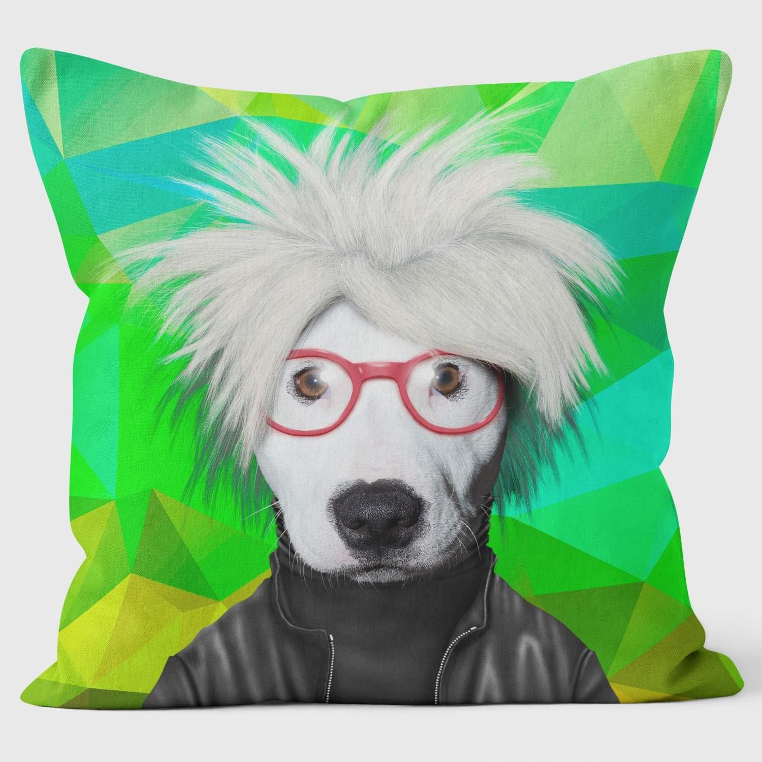 Soup Geometric - Pets Rock Cushion