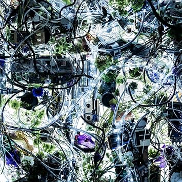 Aimer Ninelie Ep Amazon Com Music