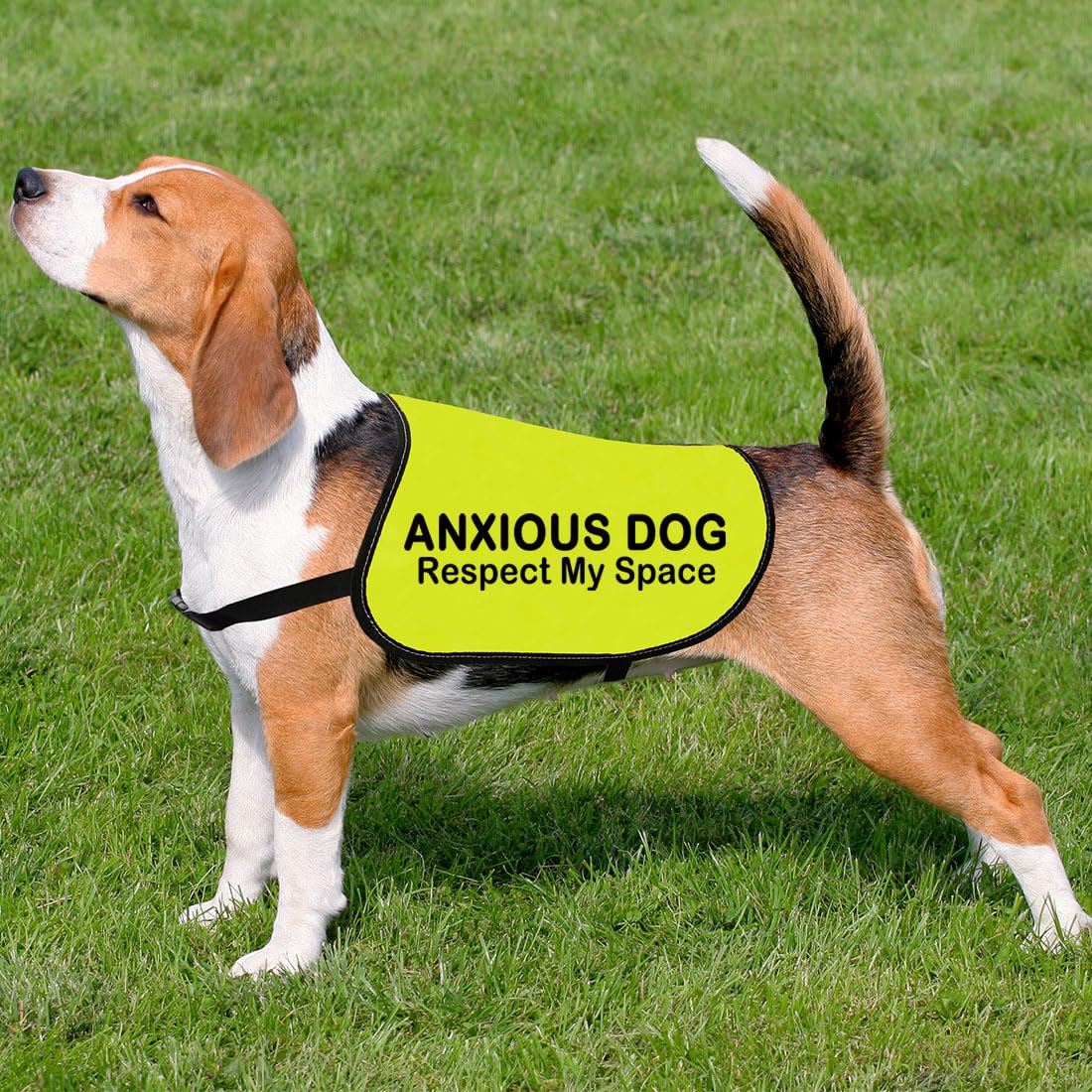 View 6