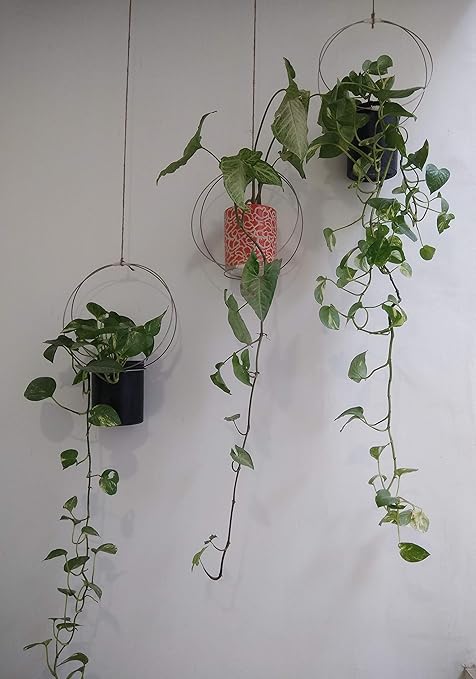 KPPreal- DECORgeous Eye- Large Iron Ring Hanging Flower Pot Holder, Indoor/Outdoor Plant Stand, Bohemian Style for Home-Balcony and Office Decor. Size- 10x10 Inches Each Ring