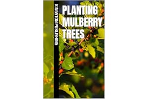 Planting Mulberry Trees (Landscaping With Fruit Trees)