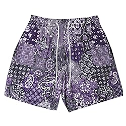 DIOTSR Mens Mesh Paisley Shorts, Casual Retro