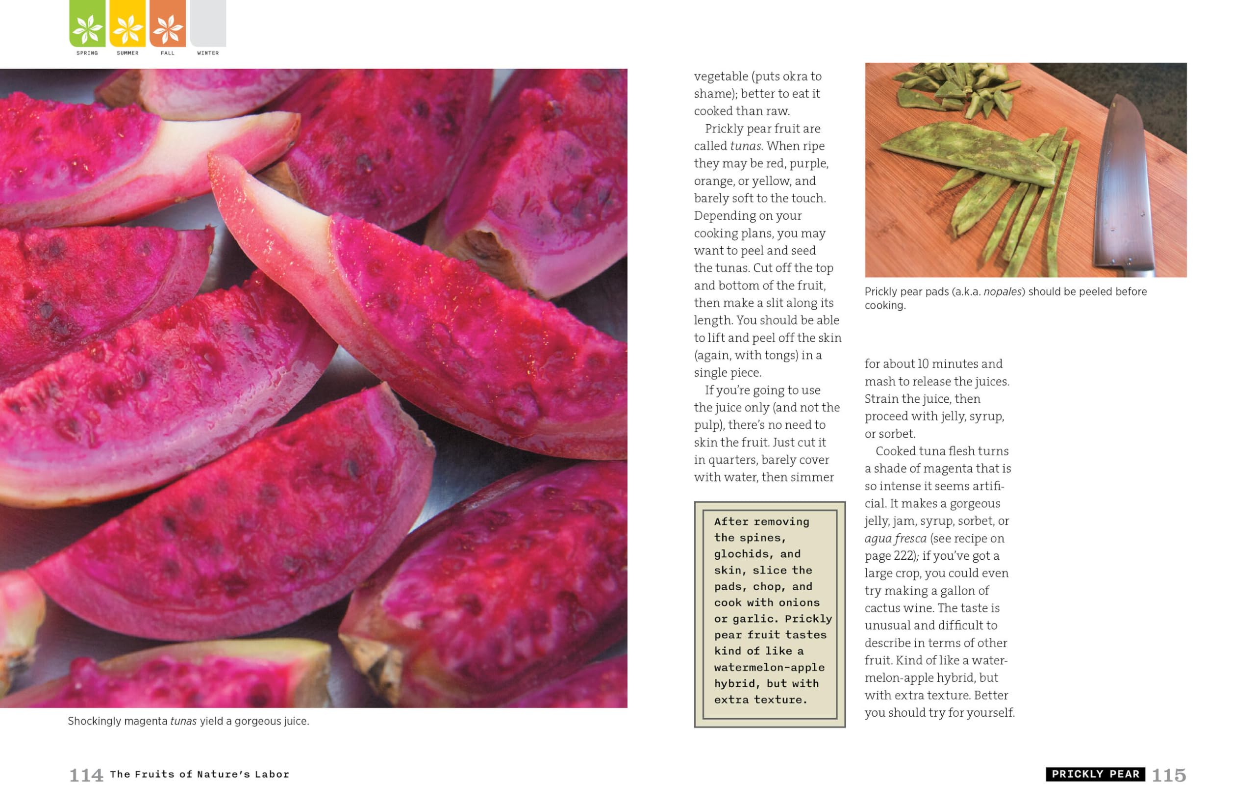 Backyard Foraging: 65 Familiar Plants You Didn’t Know You Could Eat