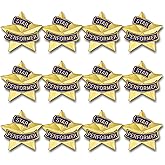 SHOP AWARDS AND GIFTS 7/8 Inch Star Performer Ribbon Lapel Pin