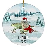 Santa Hat and Scarf Welcome Winter Chinese Water
