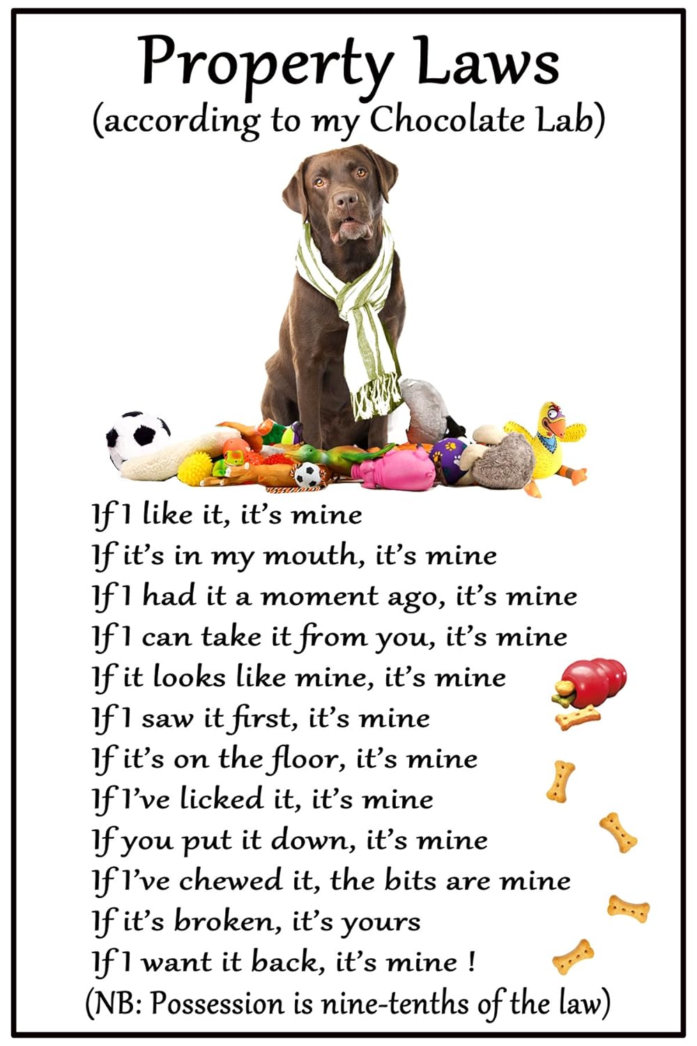 Imanes para nevera Labrador Chocolate Lab Gift - Leyes de ...