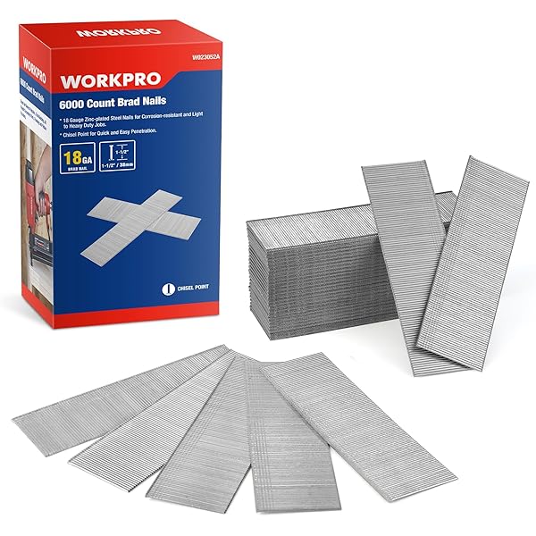 NICENESS【BRAD】 NICENESS | SS24 'Golden Eternity' BRAD (NN-1802J13) A ringer T