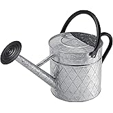 BLstyle 1.75 Gallon Outdoor Galvanized Metal Watering Can for Garden Plants, Vintage Zinc Watering Can with Removable Spray Spout, Ideal for Outdoor Use (Silver)