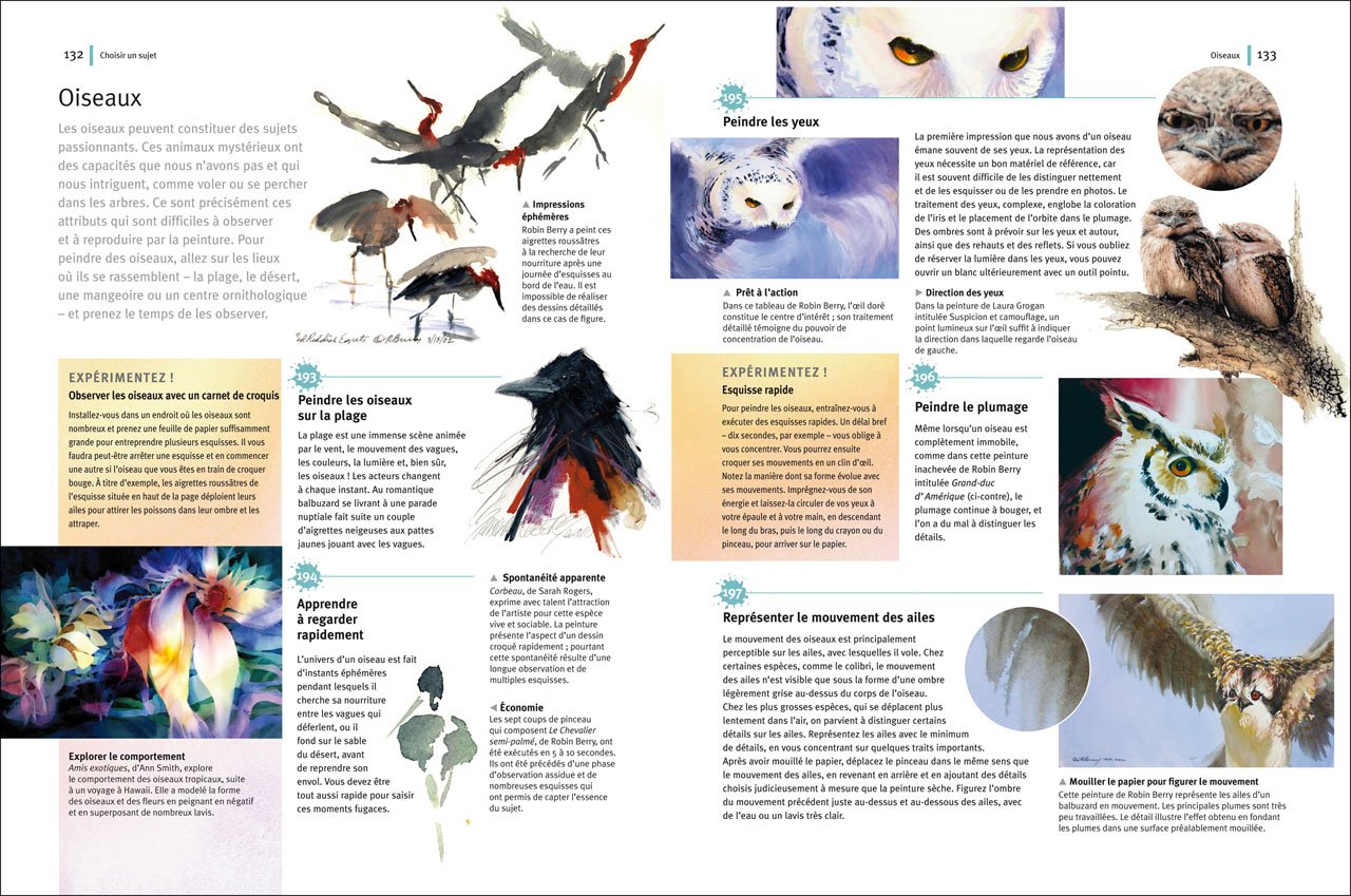 Aquarelle 240 Techniques Trucs Et Astuces Collectif Robin 9782816002072 Amazon Com Books