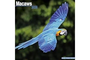 Macaws Calendar 2025 | Square Bird Wall Calendar - 16 Month