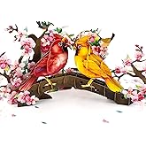 CUTE POPUP Anniversary pop up card with Cardinal Couple Design