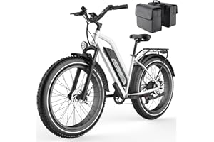 Himiway Cruiser Long Range Electric Bike, 750W 60MI 48V 17.5Ah Battery 26"x4" Fat Tire, 350LBS Payload 25MPH Top Speed, 7 Speed, UL Certified