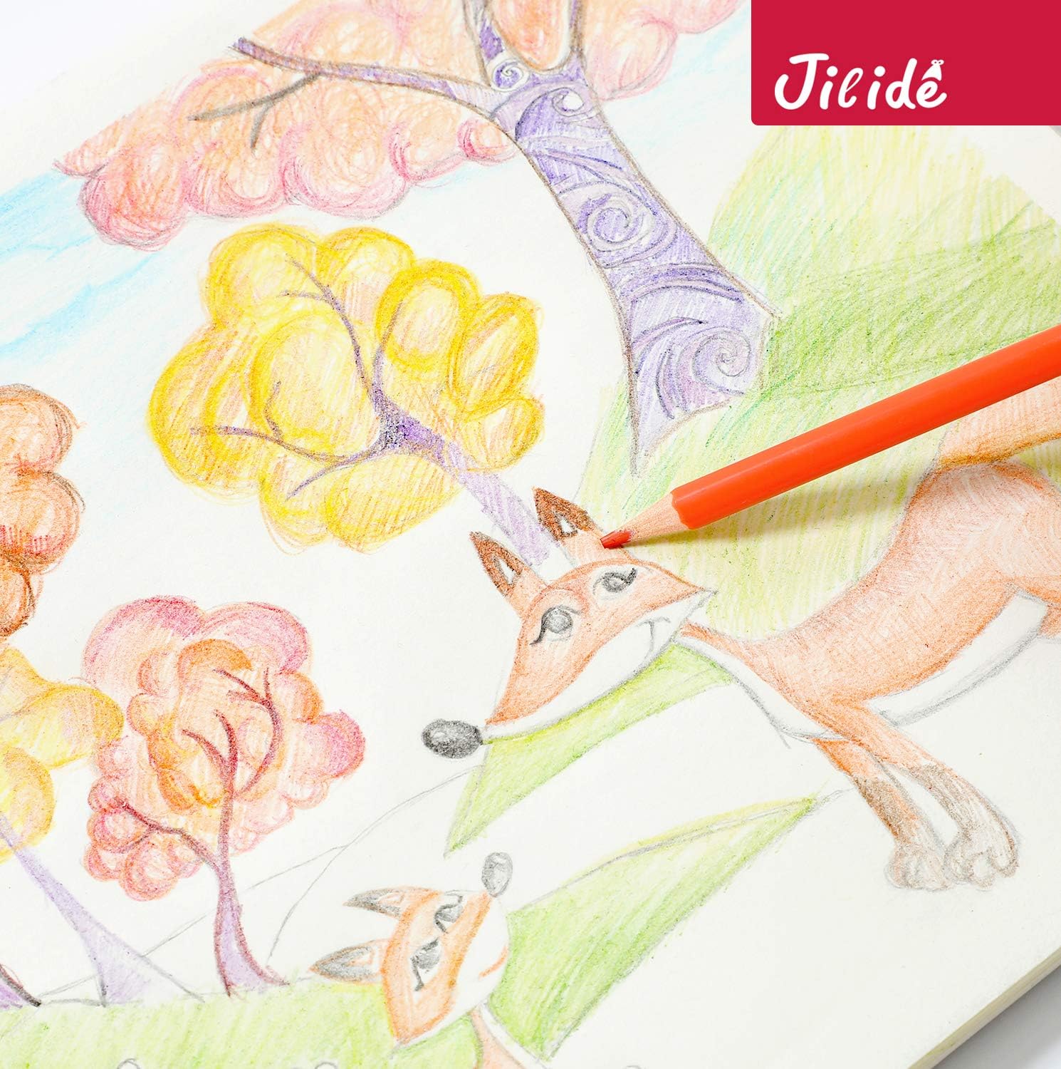 Colored Pencils Set for Adults and Kids Drawing Pencils for Sketch Arts with Eraser Sharpener Canvas Carry Pouch (48-Color) : Office Products