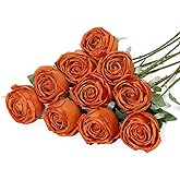 Coferset 10 Pcs Fake Roses, Artificial Silk Rose Flowers with Long Stems,Realistic Faux Roses for Vase Home Wedding Table Centerpieces Baby Shower Decor (Burnt Orange)
