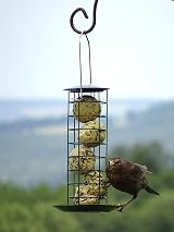 Supa Fat Ball Feeder & Tray for Netted and Un-netted Fat Balls view 2