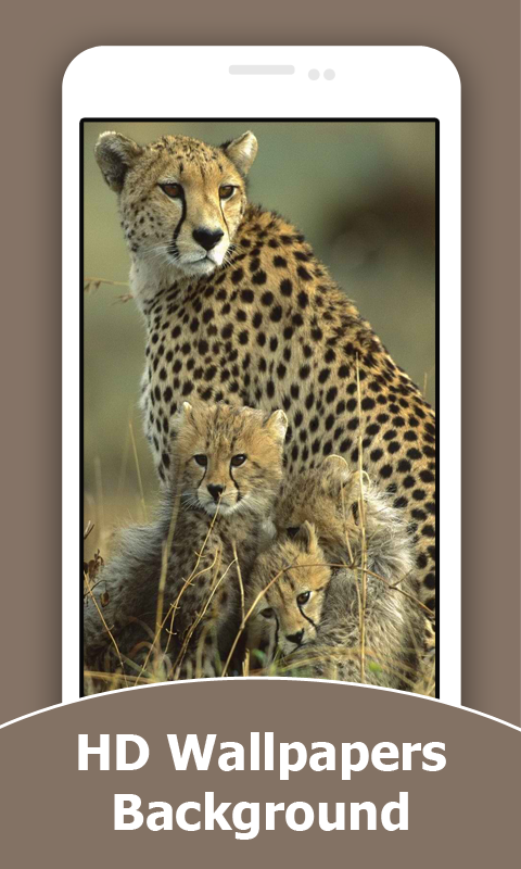 Wild Animals Cub HD Wallpapers - Thumbnail 2