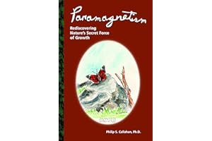 Paramagnetism: Rediscovering Nature's Secret Force of Growth