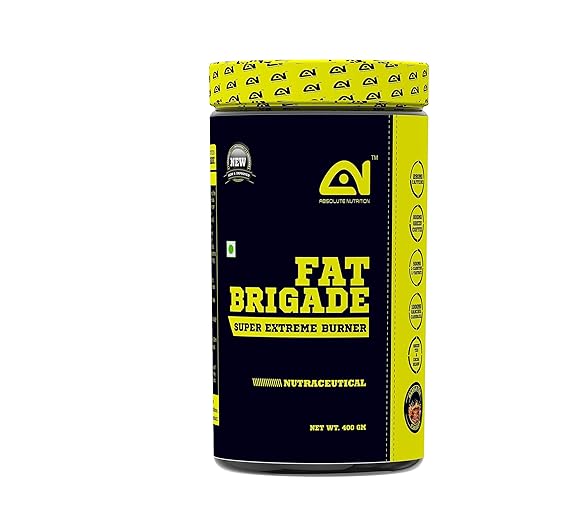 Buy Absolute Nutrition Fat Brigade 400gm Masala Fizz Flavor Online At Low Prices In India Amazon In