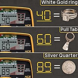Garrett Ace 300 Pro Pointer at Special with All