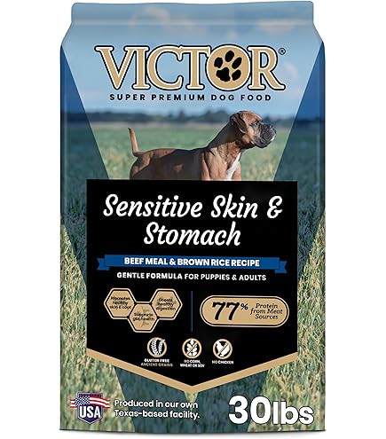 Amazon.com: Alimento para perros Authority Sensitive Stomach + Skin Dry :  Productos para Animales