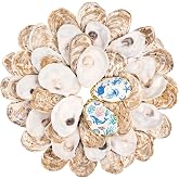 LAMIVORA 30Pcs Small Flat Oyster Shells for Crafts 2-3 Inch | Cleaned Natural Oyster Shells for Decoupage Painting Vase Filler Wedding DIY Decor Coastal Christmas Seashells Art