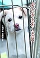 犬たちをおくる日―この命、灰になるために生まれてきたんじゃない (ノンフィクション 知られざる世界)