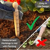 Muldale Garden Dibber Tool Beechwood Steel Seed Planter 20cm Planting Bulb Hole view 3