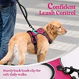 rabbitgoo Small Dog Harness No Pull Reflective Rose Red Easy Control Handle view 7