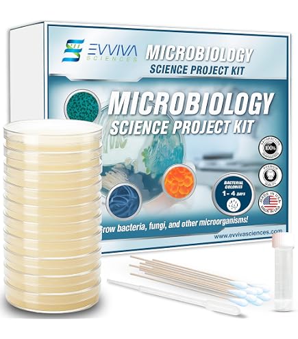 Diffusion Through A Membrane Lab Kit