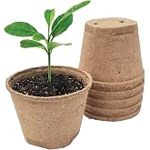 Jiffy Biodegradable Peat Pots for Seedlings, 5 Inch, 100 Pack | Drainage holes for healthy roots; seed starter pots for transplanting, vegetable, herb, and flower gardening