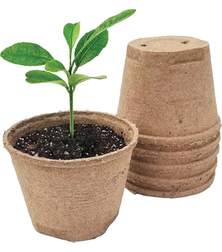 Square Peat Pots | Gurney's Seed & Nursery Co