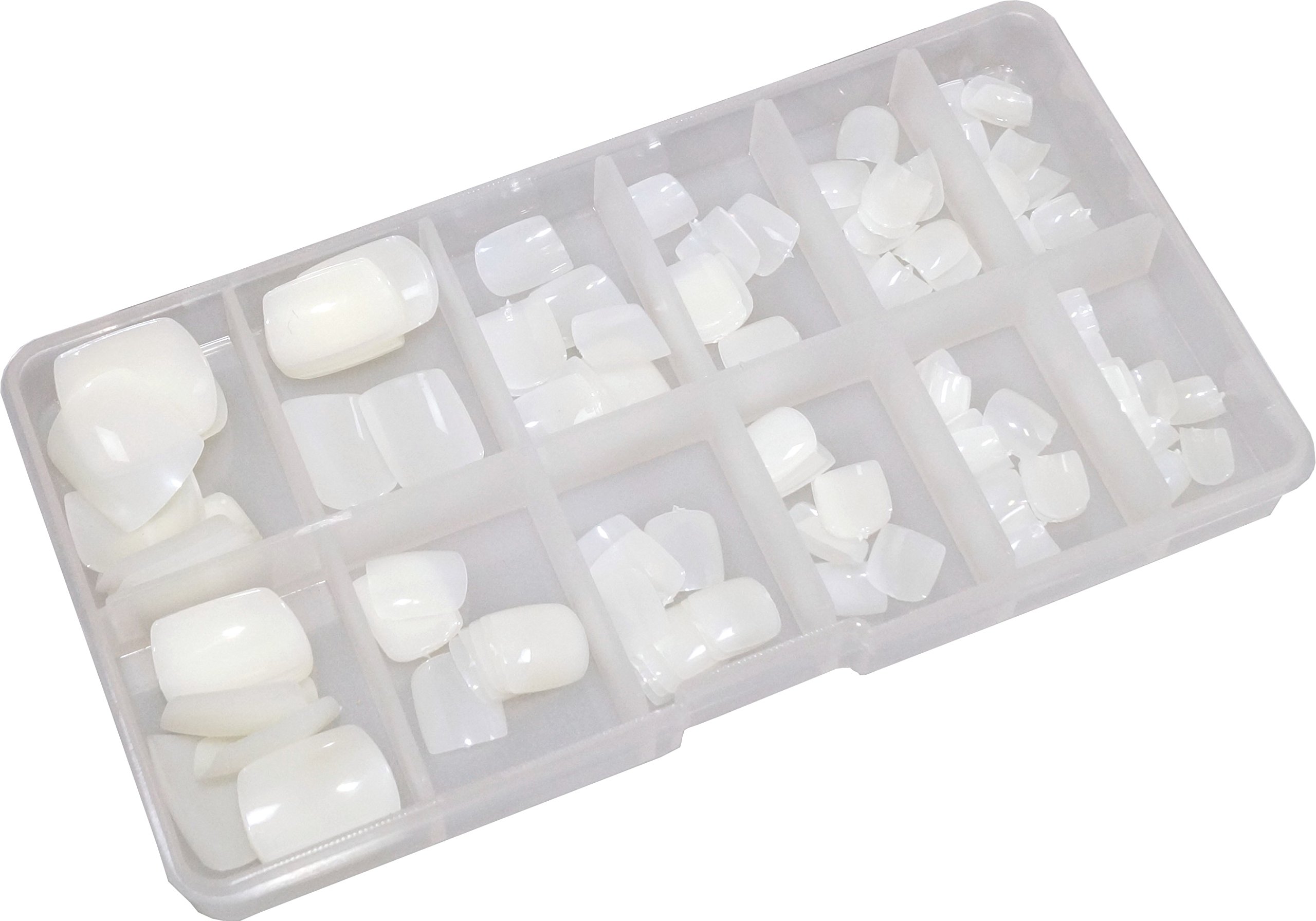 World of Nails-Design Toe Nails UV Gel Acrylic Toe Nail Art Tips Natural in Box Set of 120