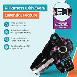 Joyride Basic Essential Dog Harness 1.0