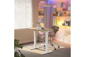 HUANUO 32 x 19 inch Electric Standing Desk Adjustable Height, 4 Memory Height Settings, Sit Stand Up Desk for Home Office & C