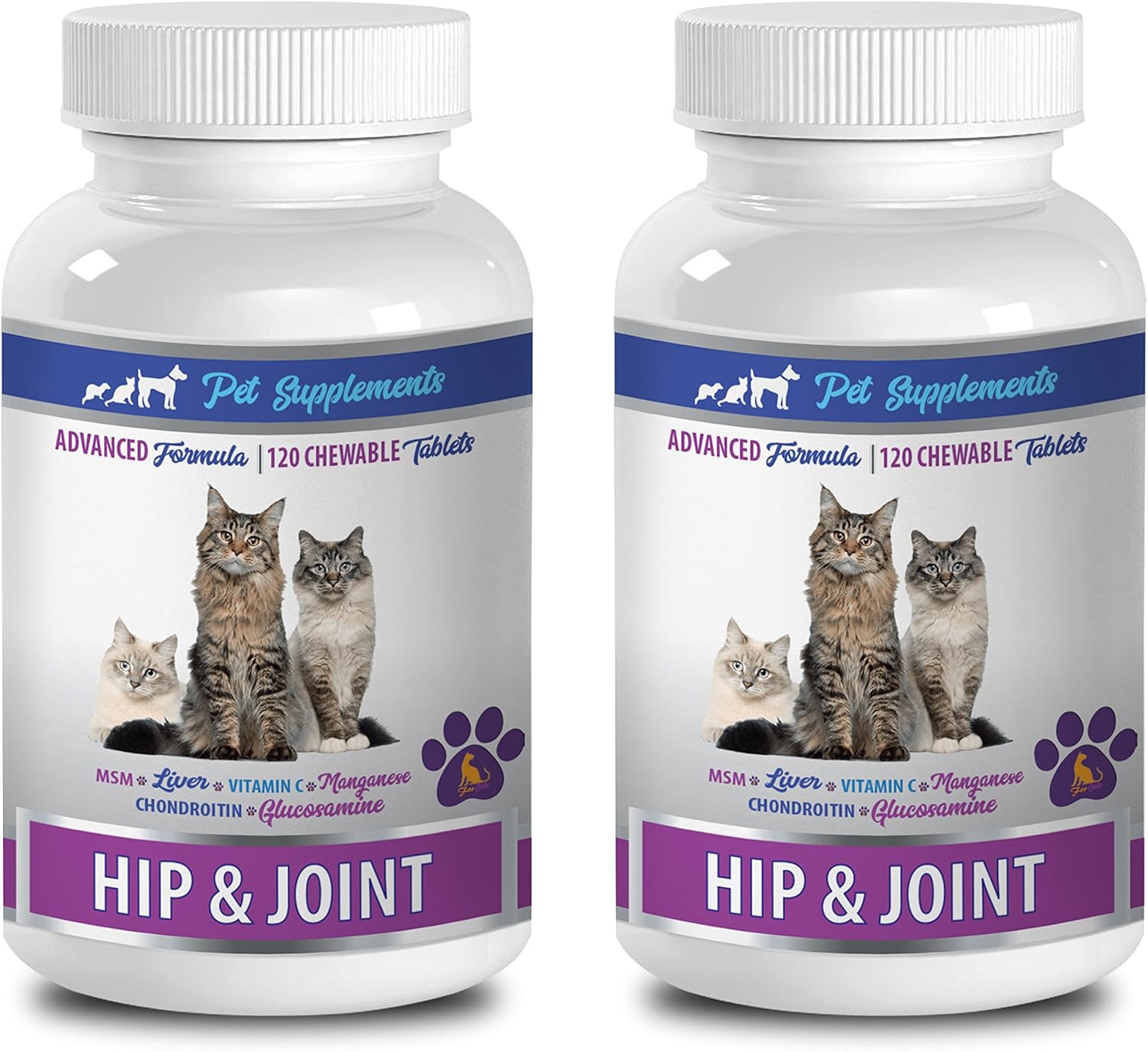 science diet senior cat food