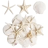HAPYSHOOP 16 Pieces Starfish and Scallop Shells for Crafts 2.6"-3.8" Large Seashells Natural Sea Shells for Crafts Christmas Decor Beach Party Wedding Fishtank