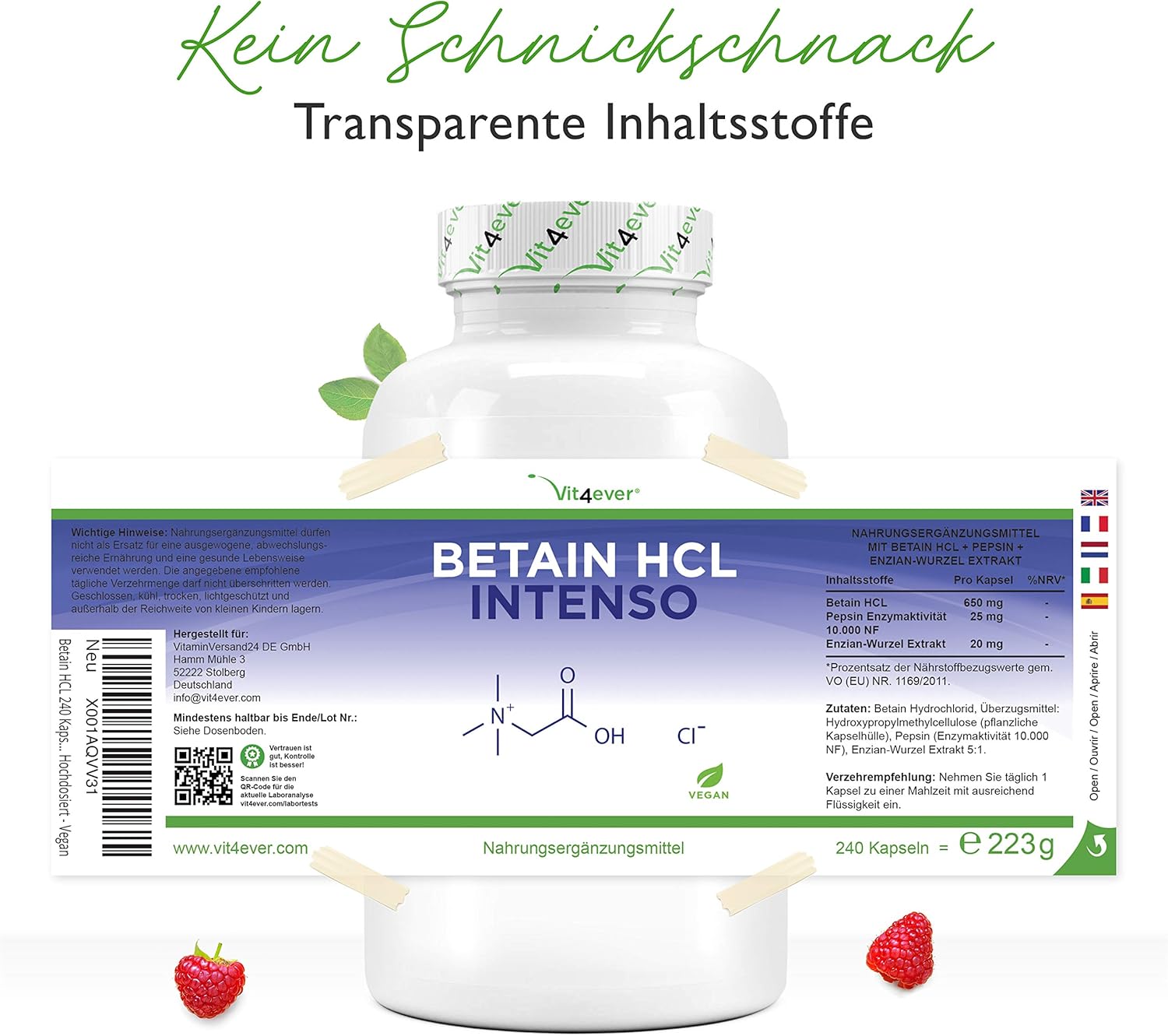 Fitness Jogging Betain Hcl 480 Kapseln V Enzian Extrakt A 695mg Mit Pepsin Hochdosiert Sport