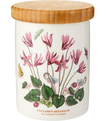 Amazon.com: Portmeirion Botanic Garden Large Airtight Canister | 8