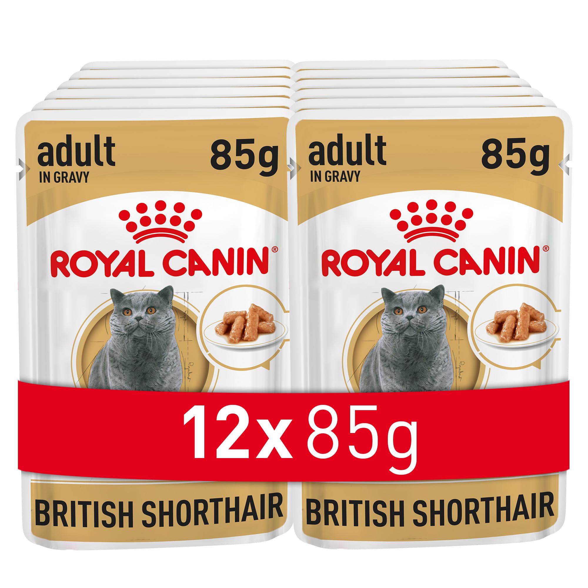 Royal Canin British Shorthair Wet Cat Food, 85 g (Pack of 12)