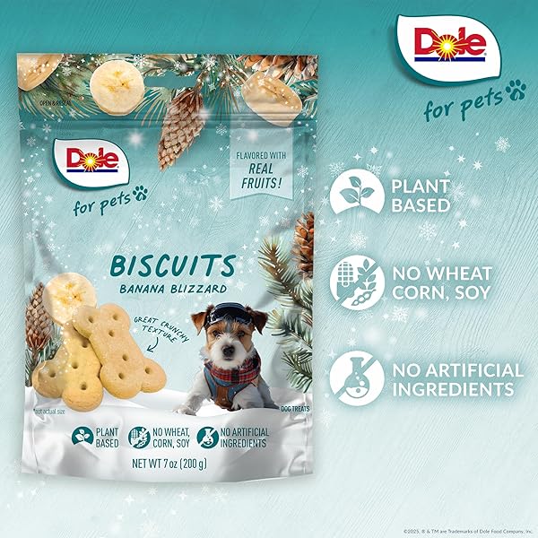 DOLE FOR PETS DOG BISCUITS BANANA BLIZZARD WINTER FLAVOR, REAL FRUIT FLAVOR VEGAN CRUNCHY TREATS, NO WHEAT CORN SOY OR ARTIFICIAL ADDITIVES, BITE SIZE TRAINING SNACKS FOR DOGS, 7 OZ