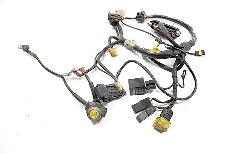 Ducati Wiring Harnes - Wiring Diagrams