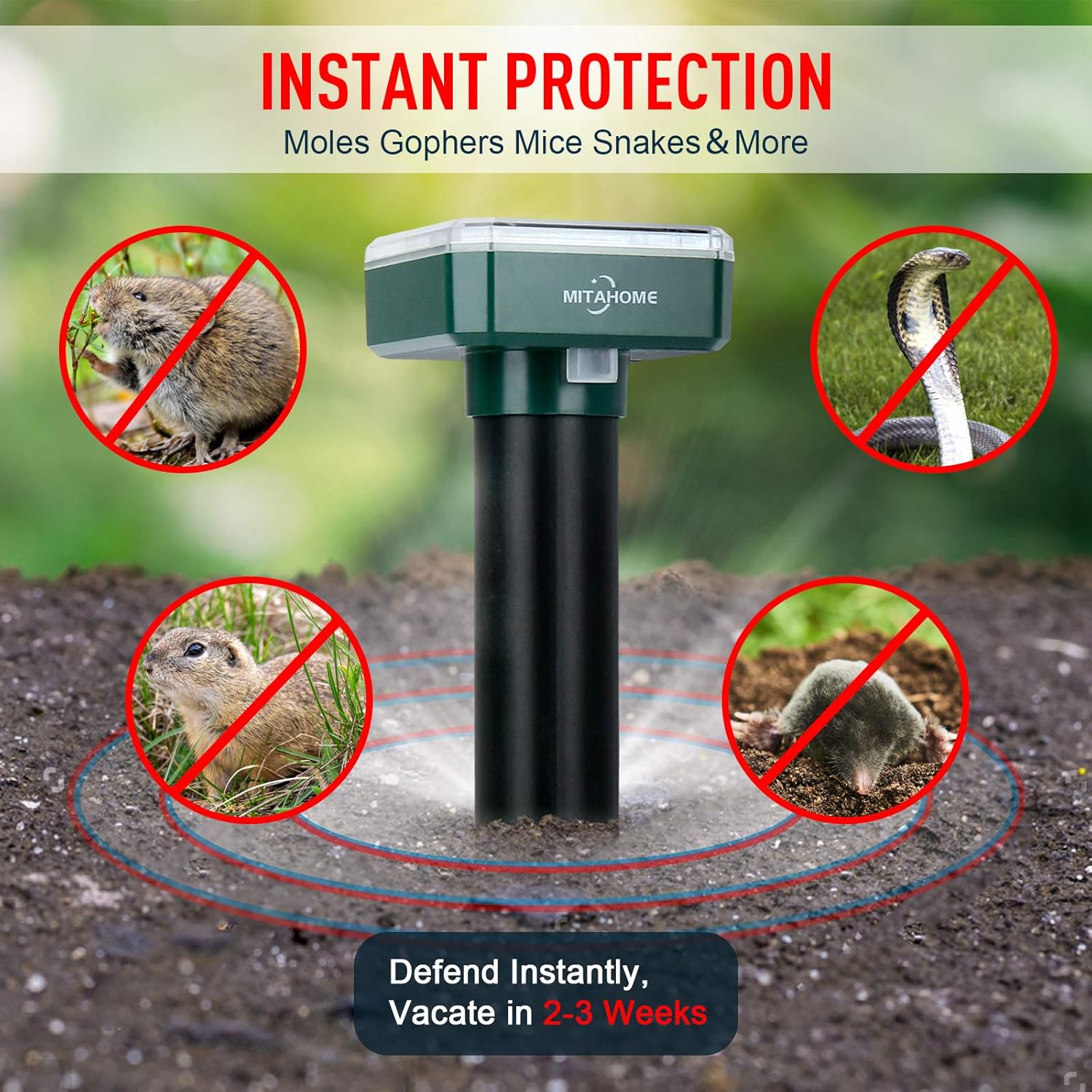 MITAHOME Solar Mole Repellent, 4 Pack Mole Repeller, Solar Powered Ultrasonic Pest Repeller for Mole, Vole, Gopher, Snakes and Other Rodent Animals of Outdoor Use(Square) : Garden & Outdoor