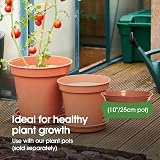 Whitefurze Basic Gardening Pot Saucer 25cm Terracotta Indoor Plant Tray view 5